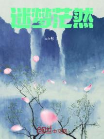 如何设置浏览器皮肤