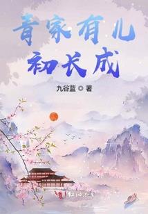 暗黑3追随者装备选择